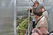 The inside of the greenhouse is divided into specialized units.