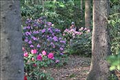 Le parc adjacent de Gristede est la vitrine de la firme Bruns. Entre libre et gratuite.