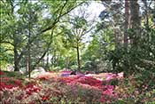 Bremen paysage