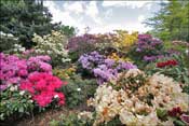 Jardin d'agr�ment