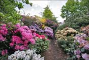 Jardin d'agr�ment