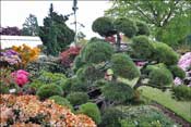 Jardin d'agr�ment