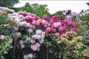 Jardin d'agr�ment