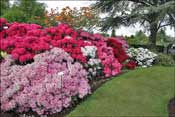 Jardin d'agr�ment