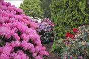 Jardin d'agr�ment