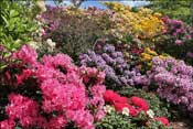 Jardin d'agr�ment