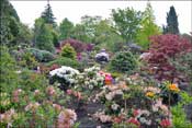 Jardin d'agr�ment