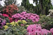 Jardin d'agr�ment