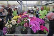 Pr�sentation des hybrides les plus r�cents : ils ne sont pas encore nomm�s
