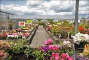 Tout le tour de cette serre est agenc� pour la vente