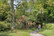 Vue partielle du parc