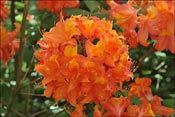 Sans l�gende.