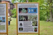 Panneau sur les parasites et les maladies. La cicadelle n'est pas inconnue ici