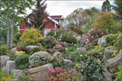 Opposite the house, a rockery