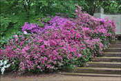 Windsor paysage
