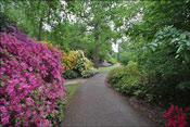 Windsor paysage