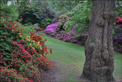 Windsor paysage