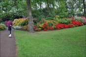Windsor paysage