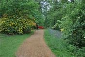 Windsor paysage