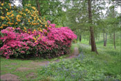 Windsor paysage